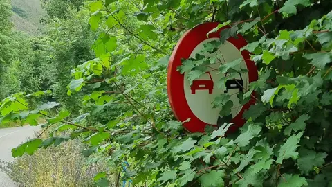 Las carreteras de España están en mal estado y estas tres comunidades son las peores Estado de las carreteras