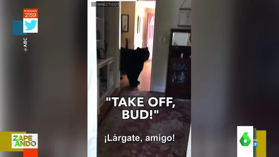 Un hombre consigue echar a un oso de su cocina a gritos Un hombre consigue echar a un oso de su cocina a gritos