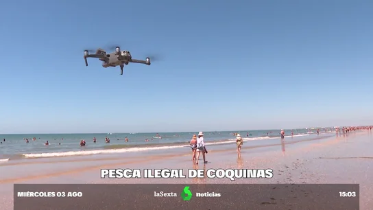 cazacoquinas cazacoquinas