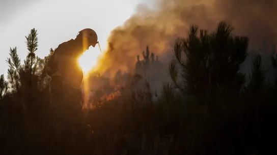 Un bombero forestal trabaja en la extinción del incendio que permanece activo en Verín (Ourense). Un bombero forestal trabaja en la extinción del incendio que permanece activo en Verín (Ourense).
