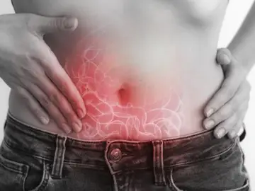 Descubren “como patrulla” el sistema inmunitario para proteger nuestros intestinos Descubren “como patrulla” el sistema inmunitario para proteger nuestros intestinos