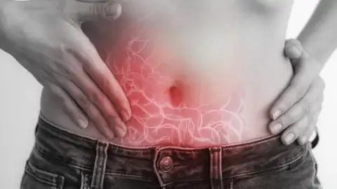 Descubren “como patrulla” el sistema inmunitario para proteger nuestros intestinos Sistema inmunitario intestinal