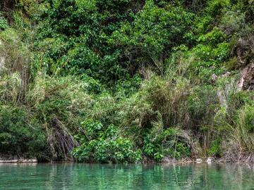 Fuente de los baños Fuente de los baños