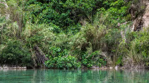 Fuente de los baños Fuente de los baños
