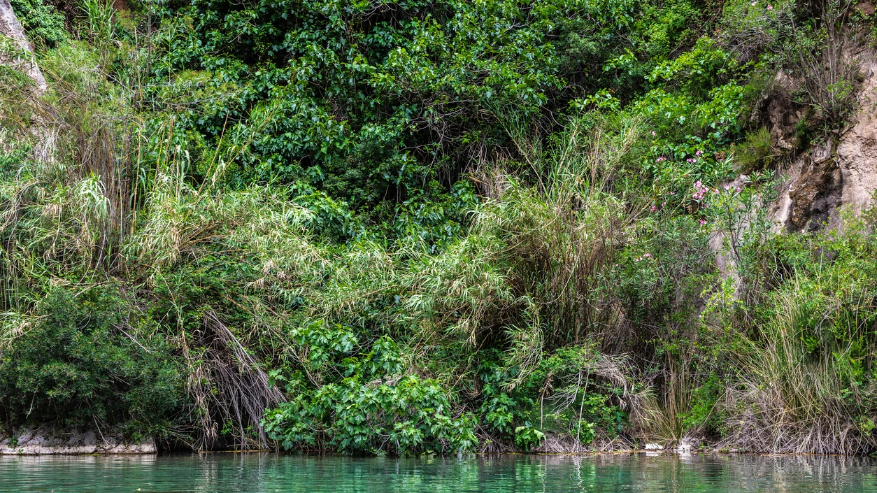 Fuente de los baños Fuente de los baños