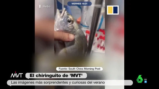 PcrPeces PcrPeces