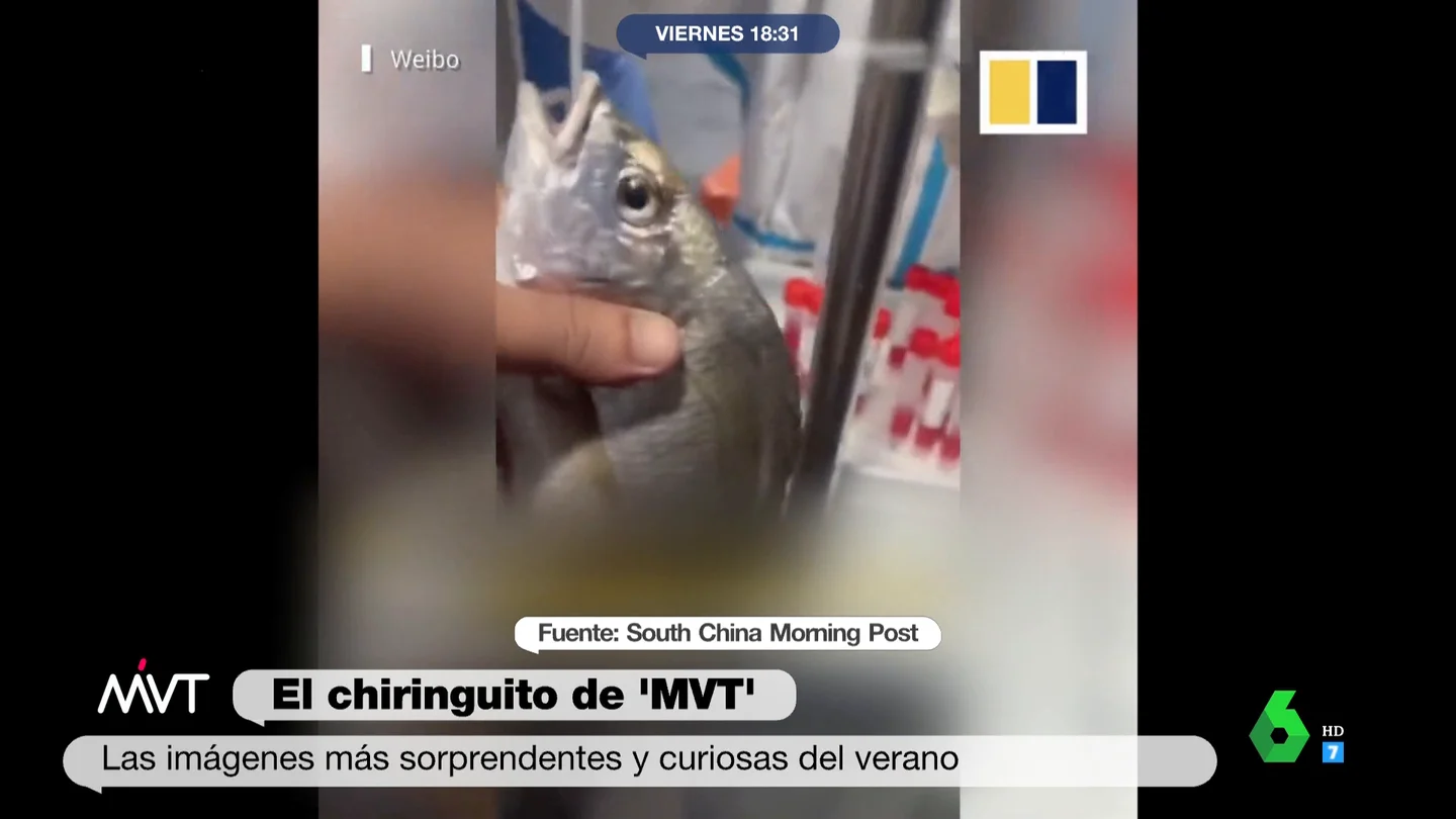 PcrPeces PcrPeces