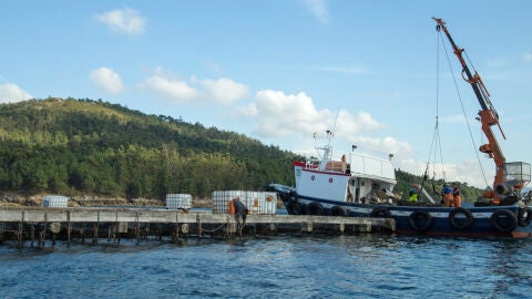 Barco de Bateas