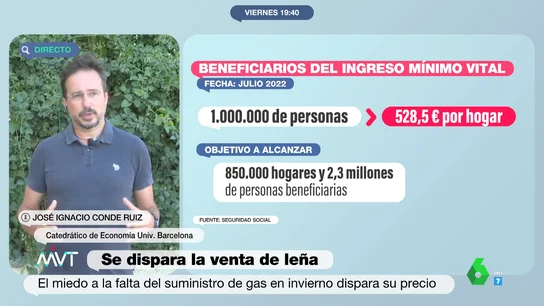 El economista José Ignacio Conde-Ruiz analiza "los dos problemas" del Ingreso Mínimo Vital El economista José Ignacio Conde-Ruiz analiza "los dos problemas" del Ingreso Mínimo Vital