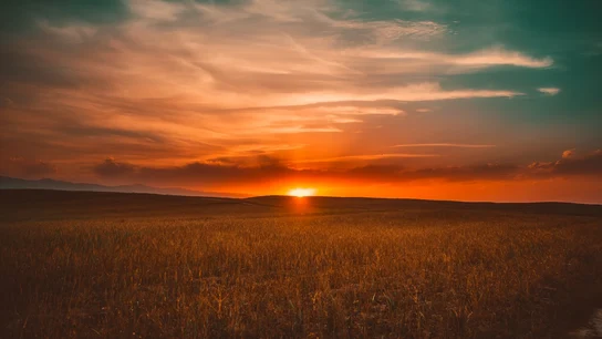Cuándo amanece: cómo saber la hora de la salida del sol Cuándo amanece: cómo saber la hora de la salida del sol