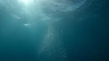 Explorar océanos Explorar océanos