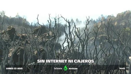 Bejís desolados Bejís desolados