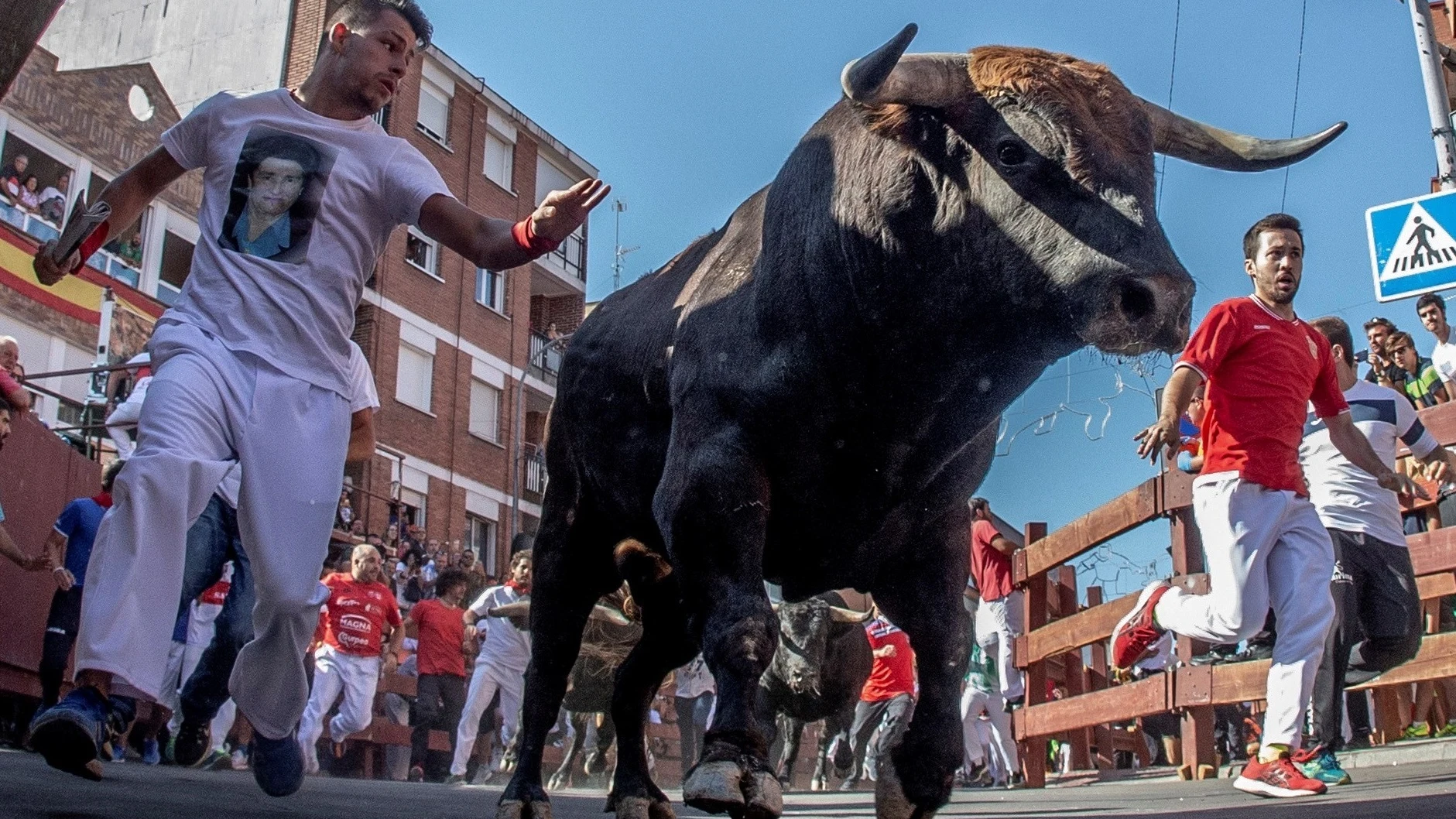 Fiestas de San Sebastián de los Reyes: encierros, conciertos gratis, programa... 