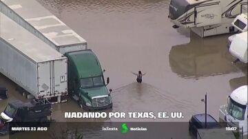 De la sequía extrema a lluvias históricas: inundaciones en Texas al llover en un día lo que debería en todo el verano