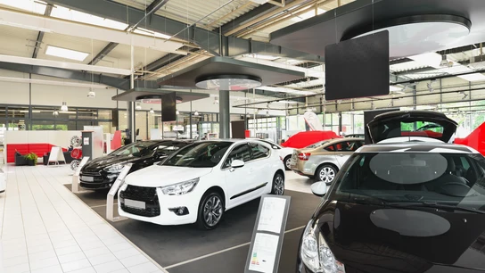 Los coches nuevos con menor plazo de entrega para este 2022 Los coches nuevos con menor plazo de entrega para este 2022