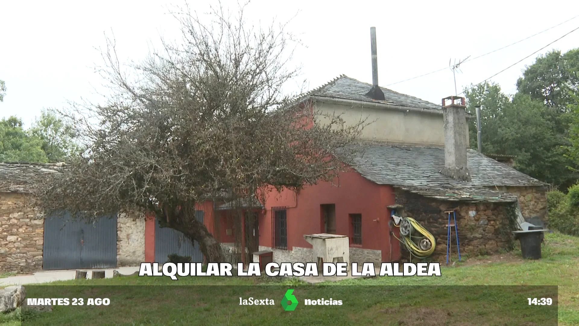 Alquilan casas