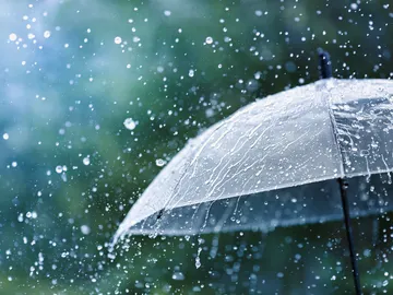 Un paraguas bajo la lluvia Un paraguas bajo la lluvia