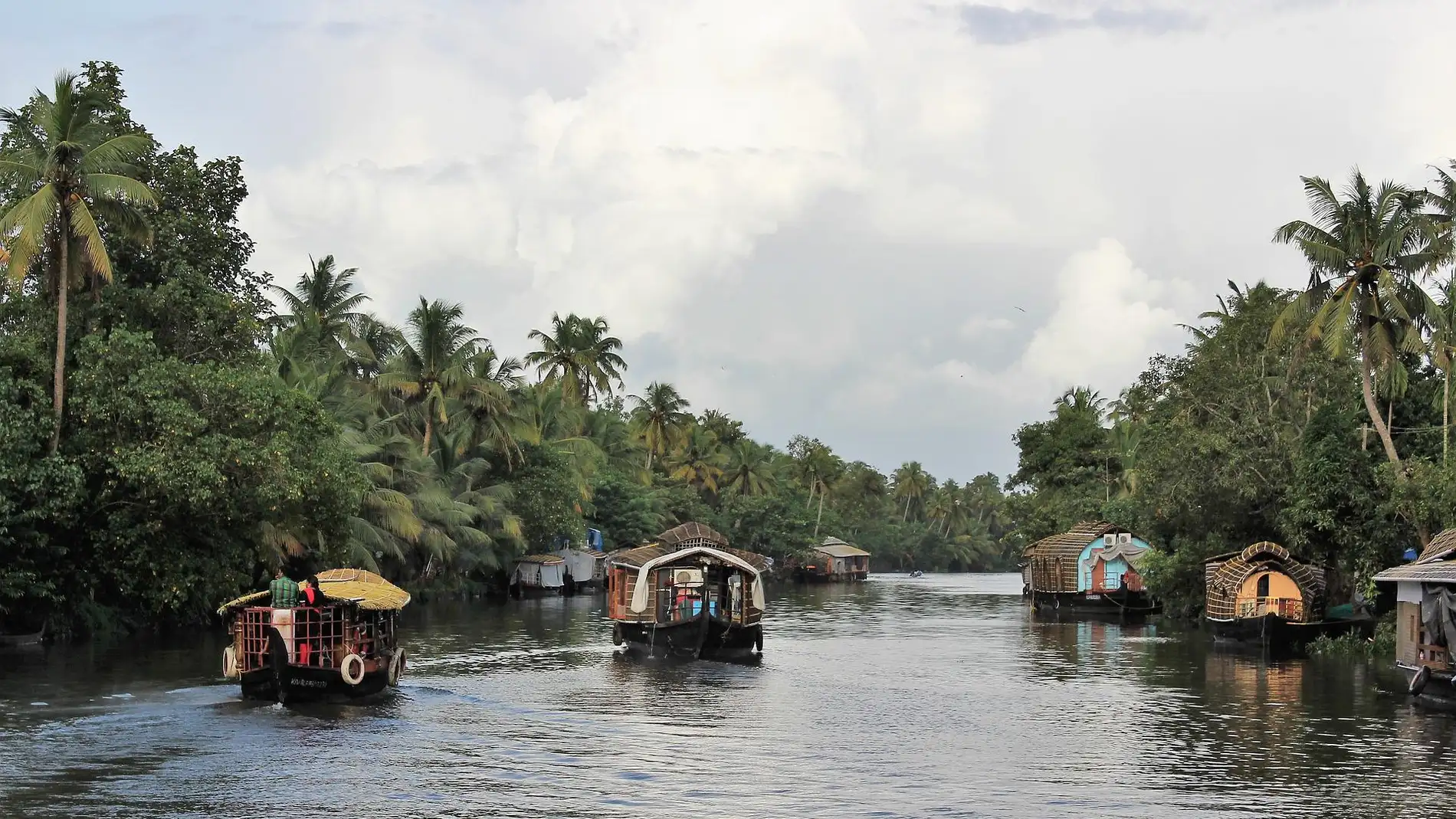 Backwaters de Kerala, un oasis de paz en medio del caos de la India