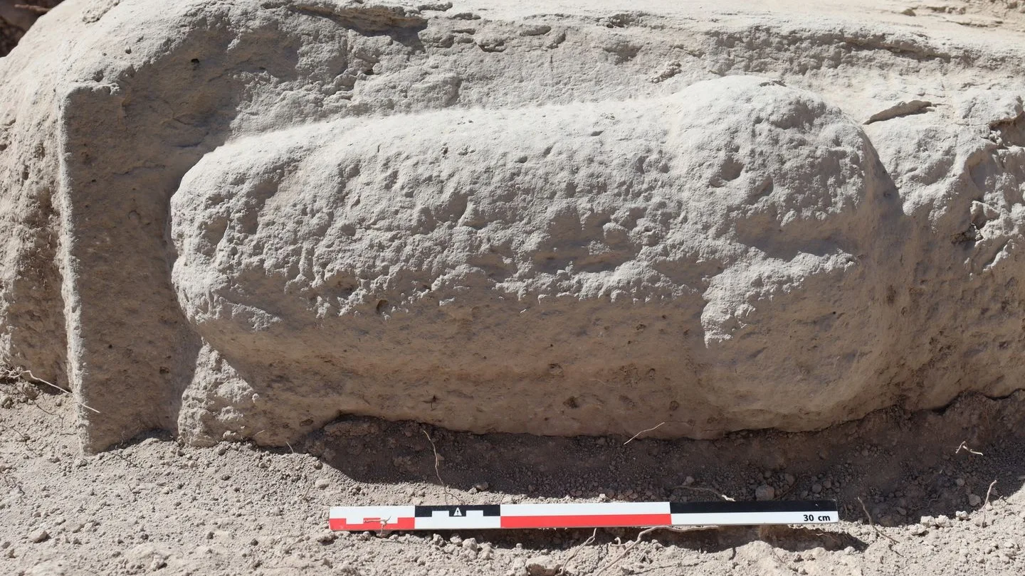 Descubren un relieve fálico de grandes dimensiones en un yacimiento de Córdoba Descubren un relieve fálico de grandes dimensiones en un yacimiento de Córdoba