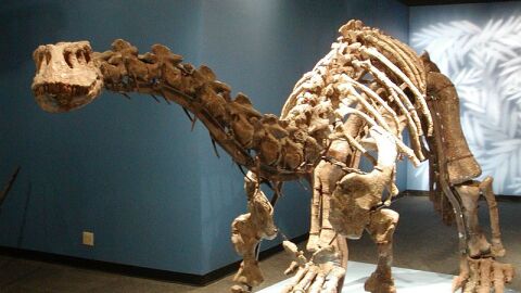 Dinosaurio de Lufeng
