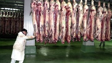 El BOE publica el decreto que obliga a instalar cámaras en los mataderos