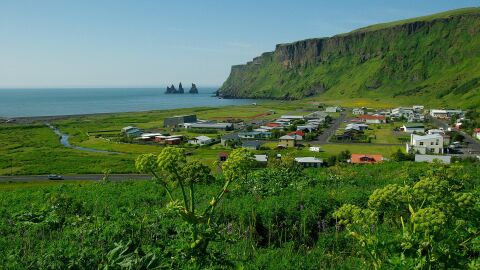 Vik
