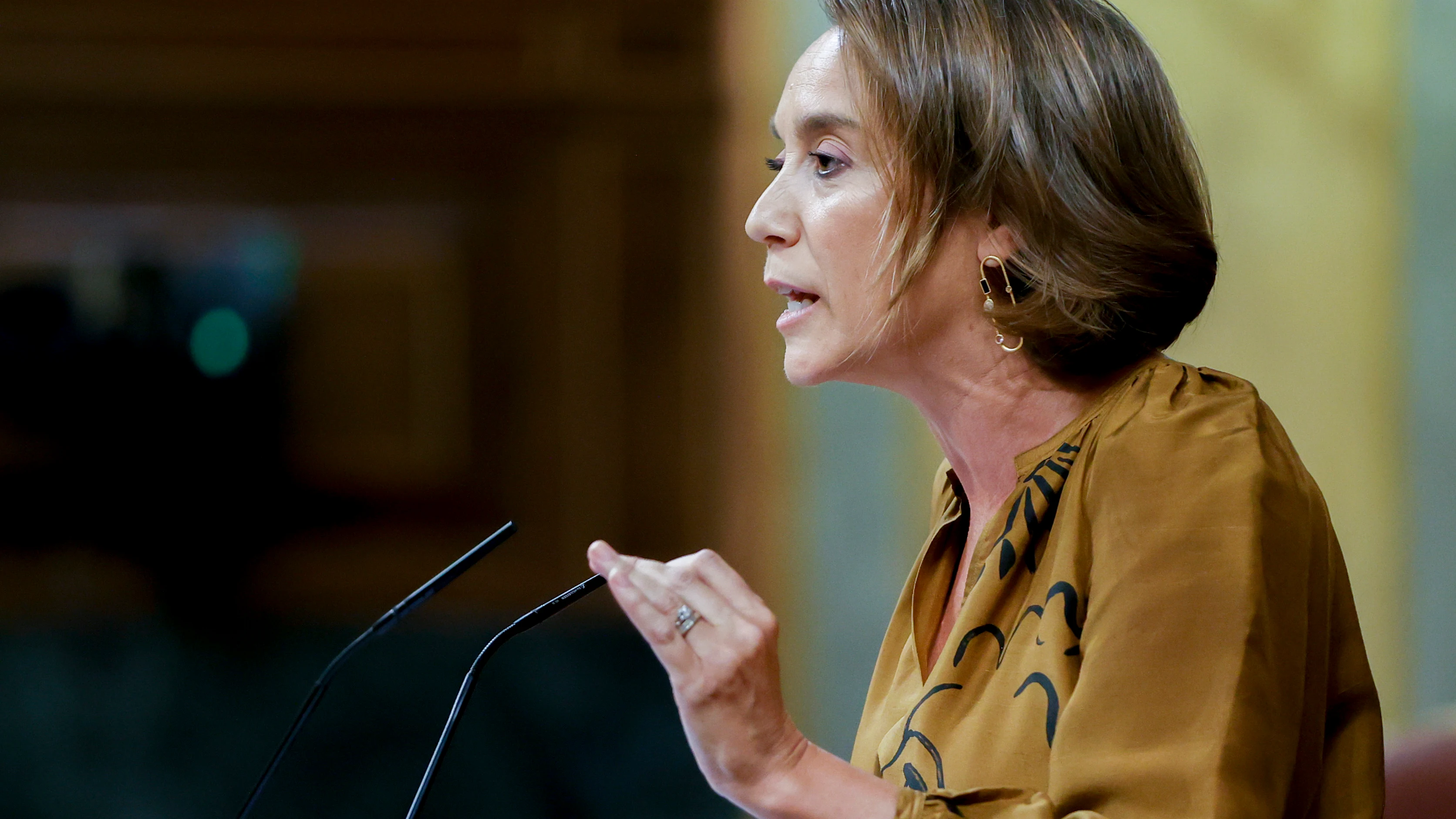Cuca Gamarra, en la sesión de este jueves del Congreso de los Diputados Cuca Gamarra, en la sesión de este jueves del Congreso de los Diputados