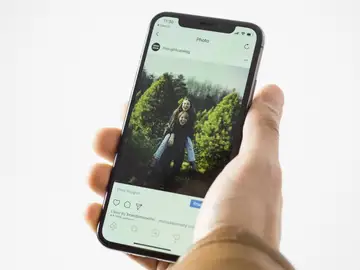 Cómo identificar flores y plantas utilizando un iPhone Cómo identificar flores y plantas utilizando un iPhone