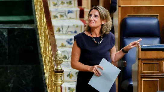 La vicepresidenta Teresa Ribera en el Congreso La vicepresidenta Teresa Ribera en el Congreso