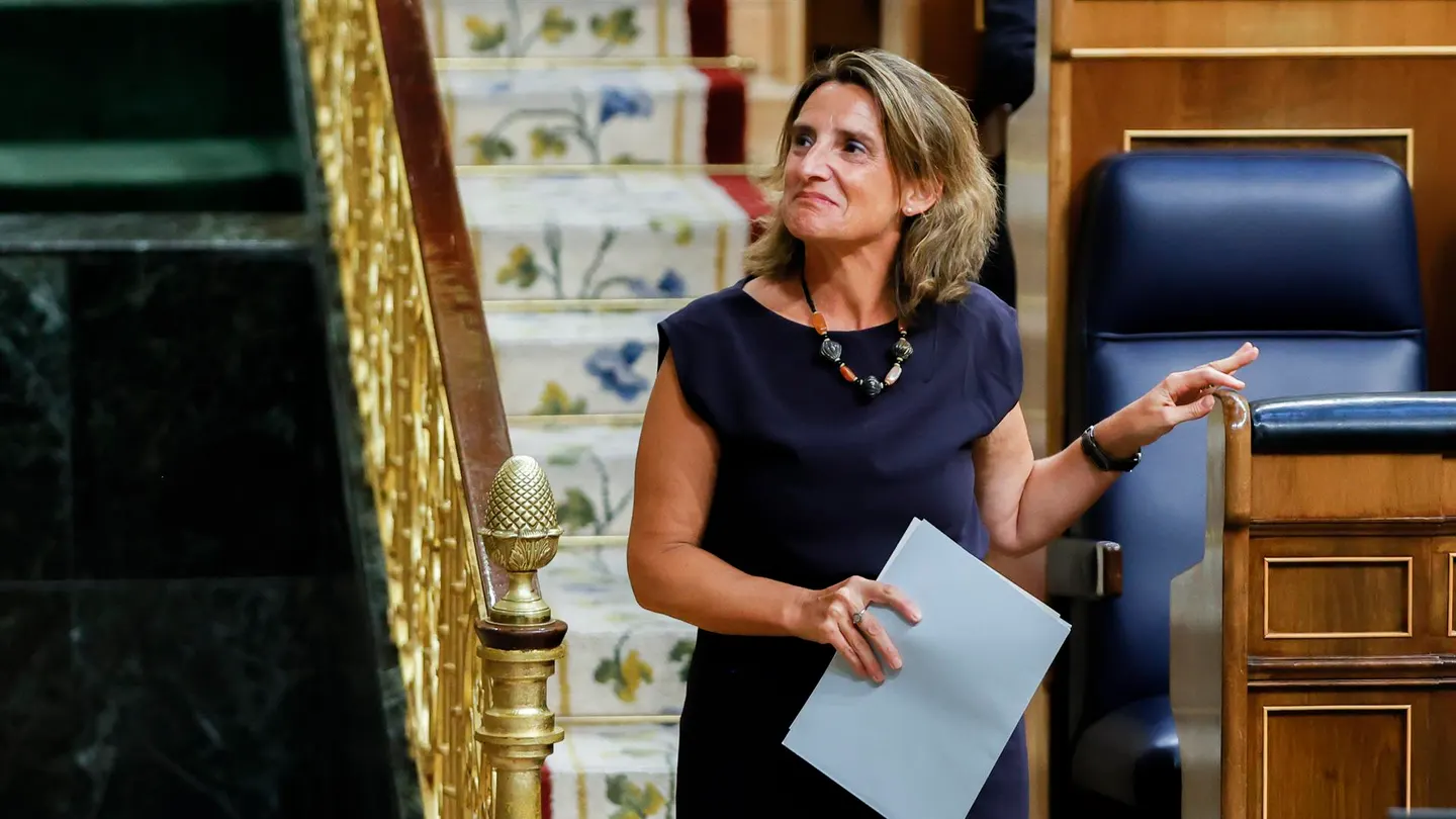 La vicepresidenta Teresa Ribera en el Congreso La vicepresidenta Teresa Ribera en el Congreso