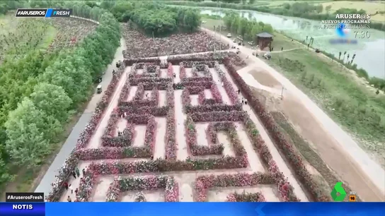 Así es el laberinto más grande del mundo Así es el laberinto más grande del mundo