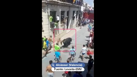 Imagen del toro fallecido durante los festejos de Alcàsser Imagen del toro fallecido durante los festejos de Alcàsser