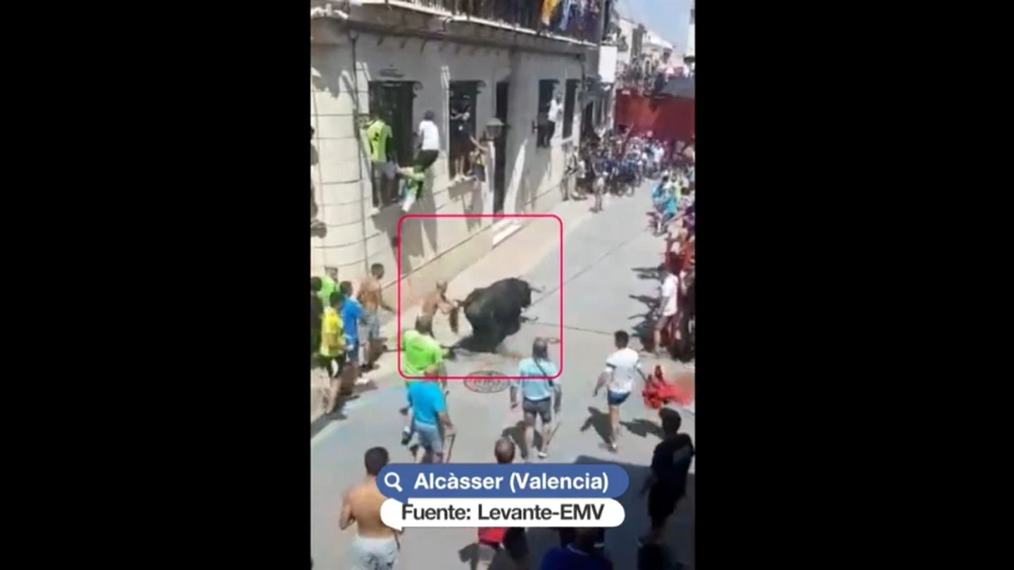 Imagen del toro fallecido durante los festejos de Alcàsser Imagen del toro fallecido durante los festejos de Alcàsser