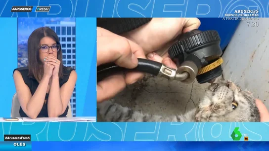 Reaniman a un gato moribundo después de salvarle de un incendio Reaniman a un gato moribundo después de salvarle de un incendio