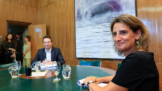 Teresa Ribera se reúne con el consejero delegado de Enagás, Arturo Gonzalo Aizpiri Teresa Ribera se reúne con el consejero delegado de Enagás, Arturo Gonzalo Aizpiri