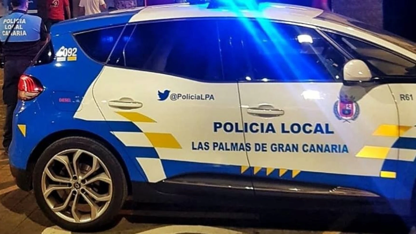 Localizan a 38 perros que vivían entre residuos y se protegían del sol en el interior de coches abandonados en una finca de Gran Canaria Localizan a 38 perros que vivían entre residuos y se protegían del sol en el interior de coches abandonados en una finca de Gran Canaria