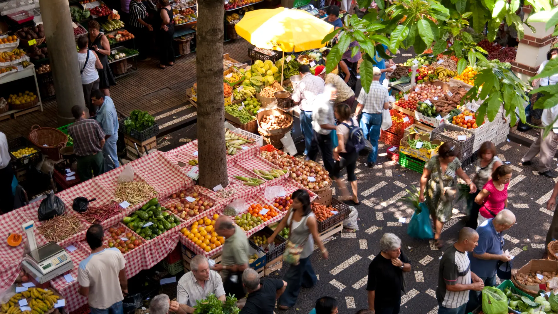 Mercado gastronómico de Madeira