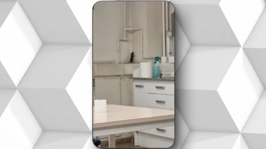 Entre ratas y cucarachas: la desagradable situación de una comisaría en Sabadell Entre ratas y cucarachas: la desagradable situación de una comisaría en Sabadell