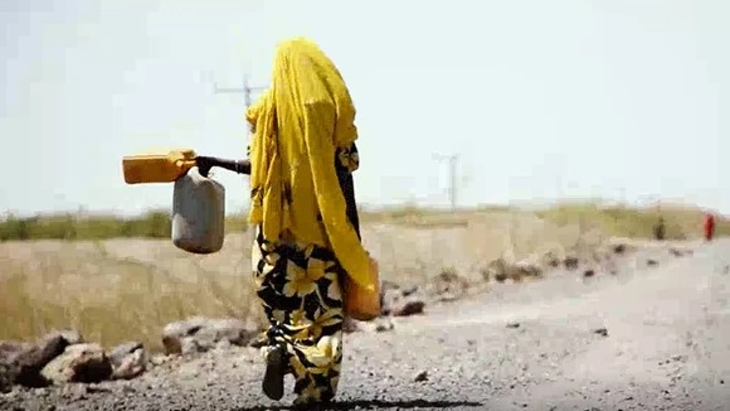 Desnutrición infantil en el Cuerno de África. Desnutrición infantil en el Cuerno de África.