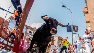 Astados y corredores vuelven a las calles de la "Pamplona chica" en el encierro más esperado