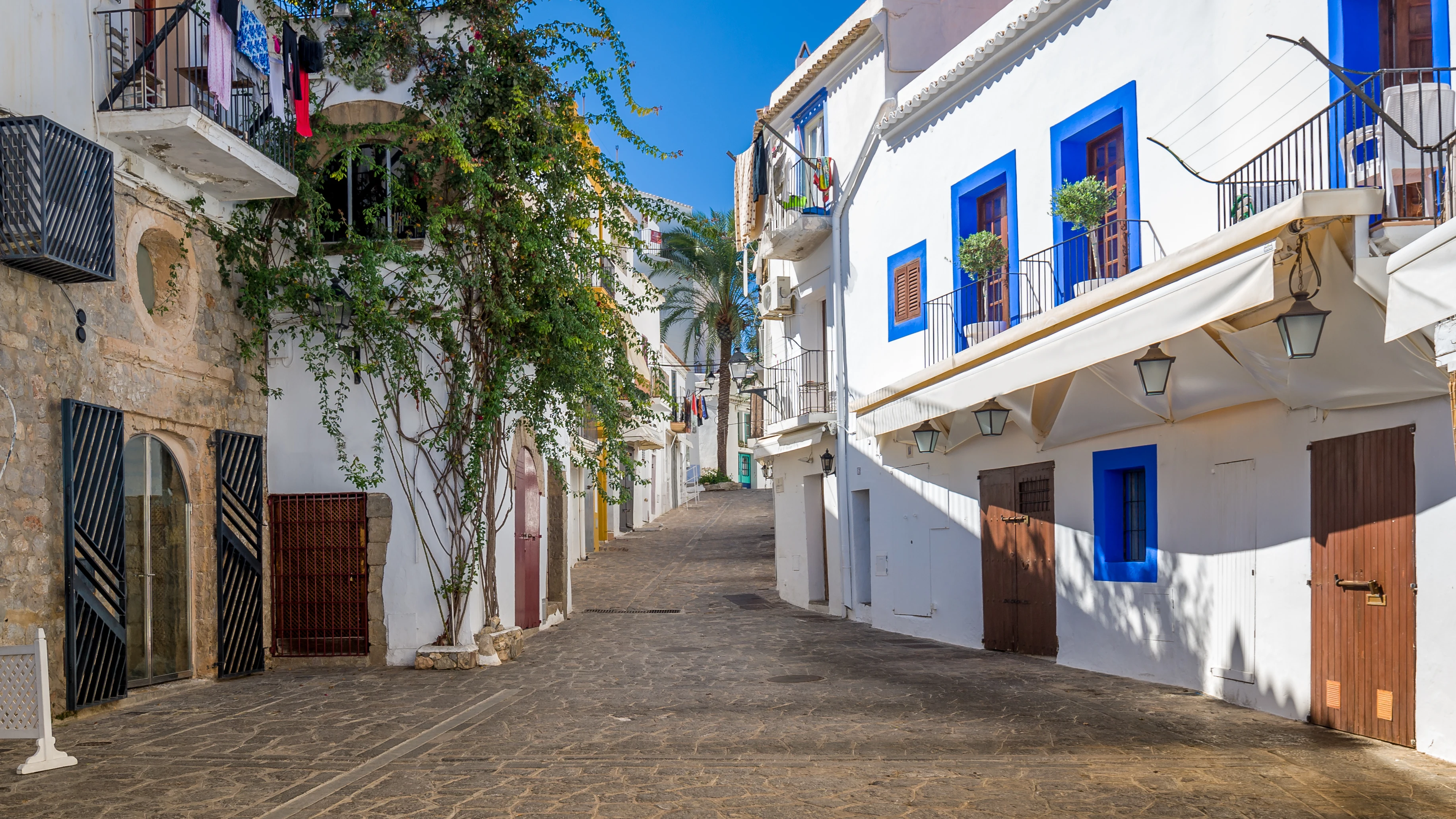 Dalt Vila (Ibiza)