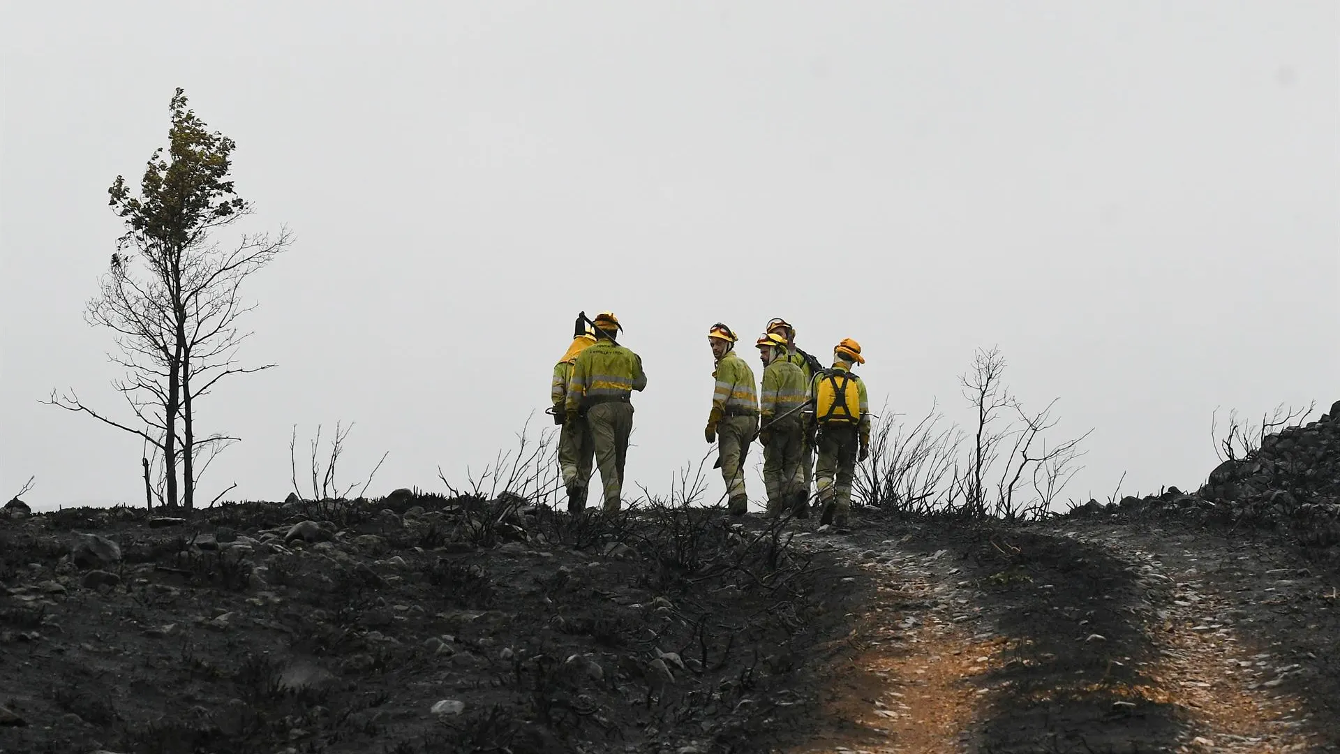 Incendio en el campo de tiro de El Teleno