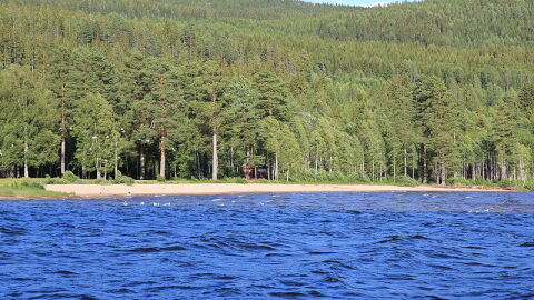 Riviera de Saimaa