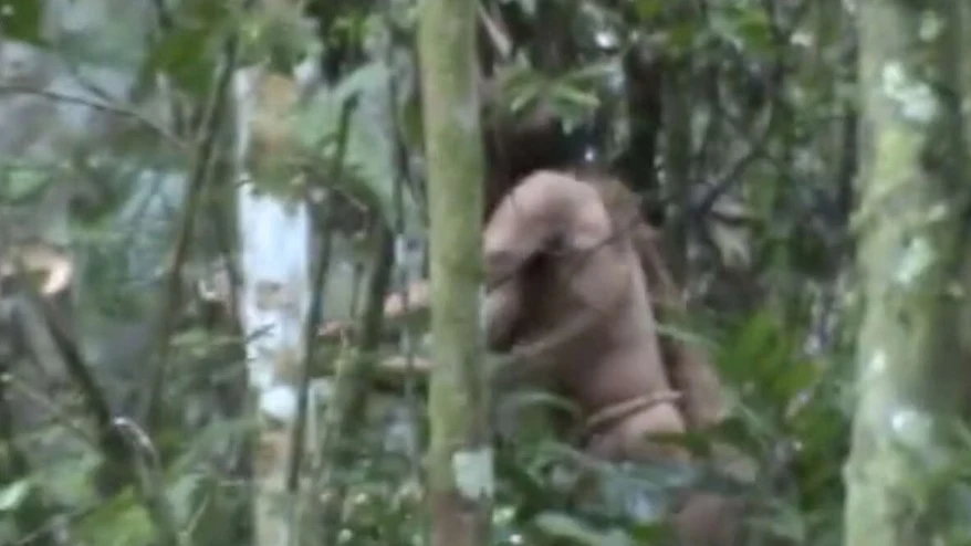 Muere el 'Indio del Hoyo', el último indígena aislado voluntariamente en la selva de Brasil