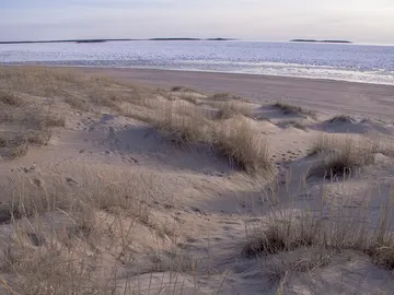 ¿Sabías que Finlandia también tiene playas? Estas son las más espectaculares ¿Sabías que Finlandia también tiene playas? Estas son las más espectaculares