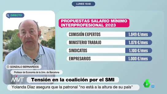 La receta de Gonzalo Bernardos para subir el salario mínimo con "prudencia" La receta de Gonzalo Bernardos para subir el salario mínimo con "prudencia"