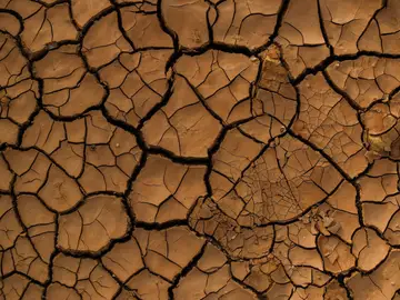 Las zonas humedas de la Tierra podrian descender un 74 para finales de siglo Las zonas humedas de la Tierra podrian descender un 74 para finales de siglo