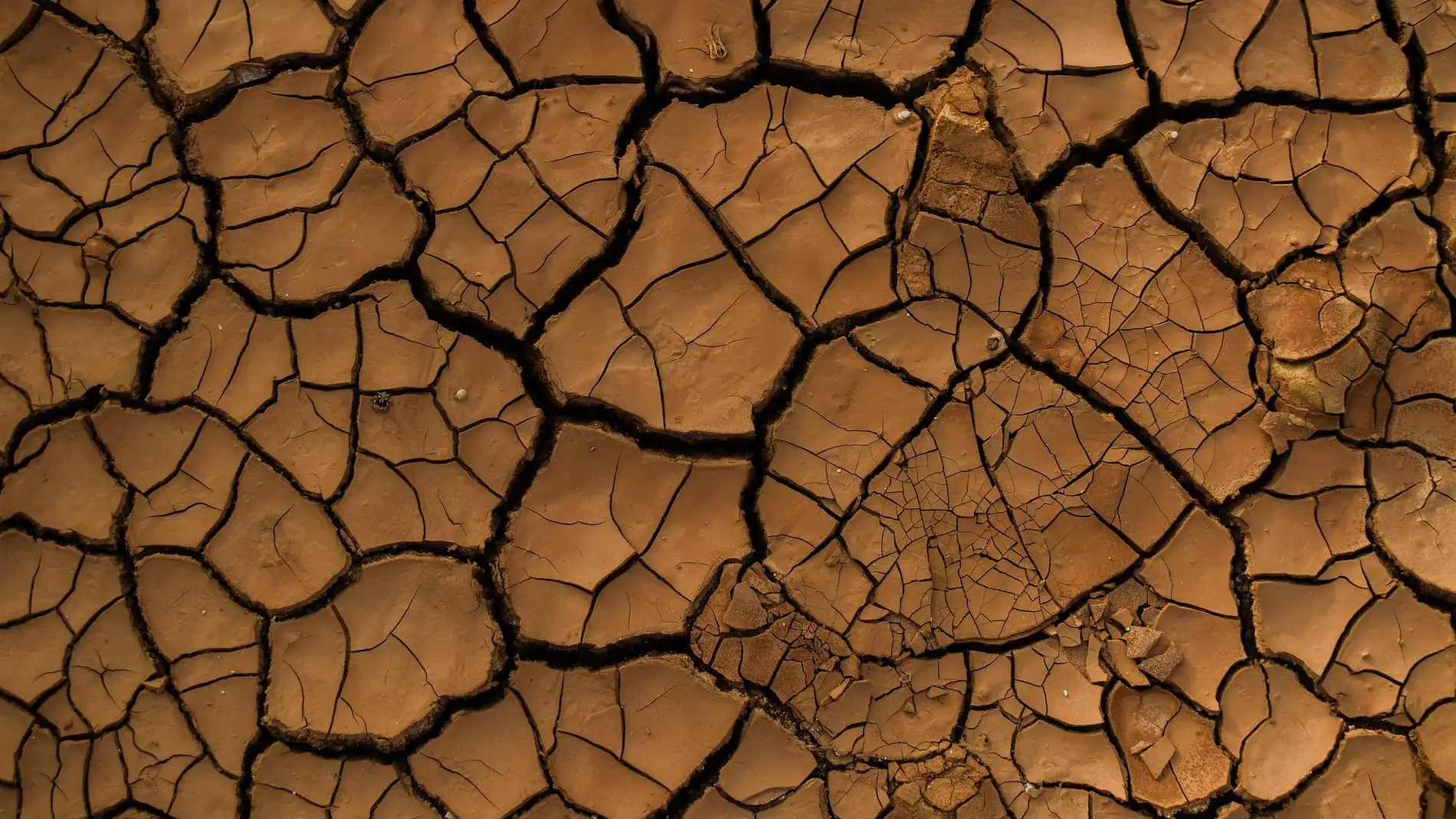 Las zonas humedas de la Tierra podrian descender un 74 para finales de siglo