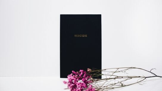 La muerte de la actriz Yoo Joo Eun y el grave problema del suicidio en Corea del Sur