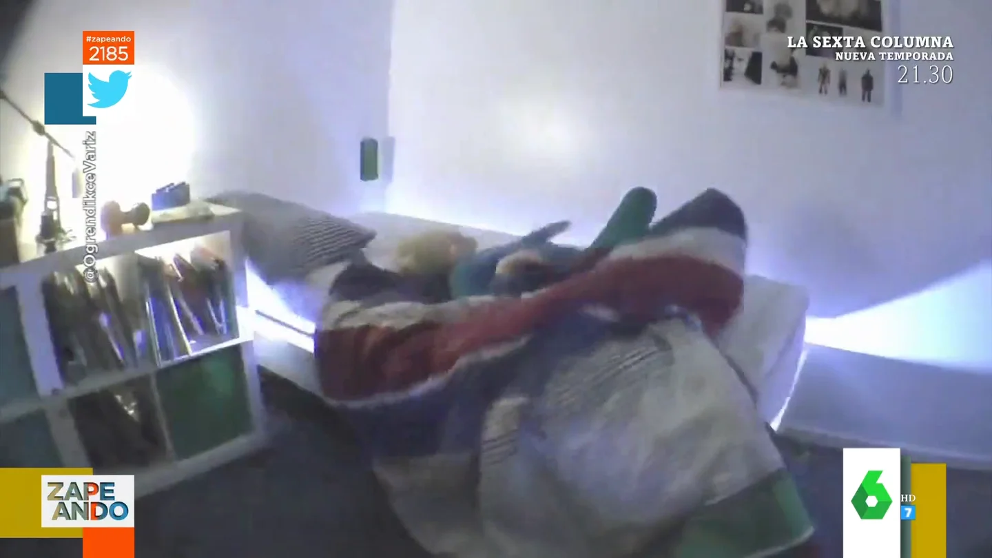 despertador despertador